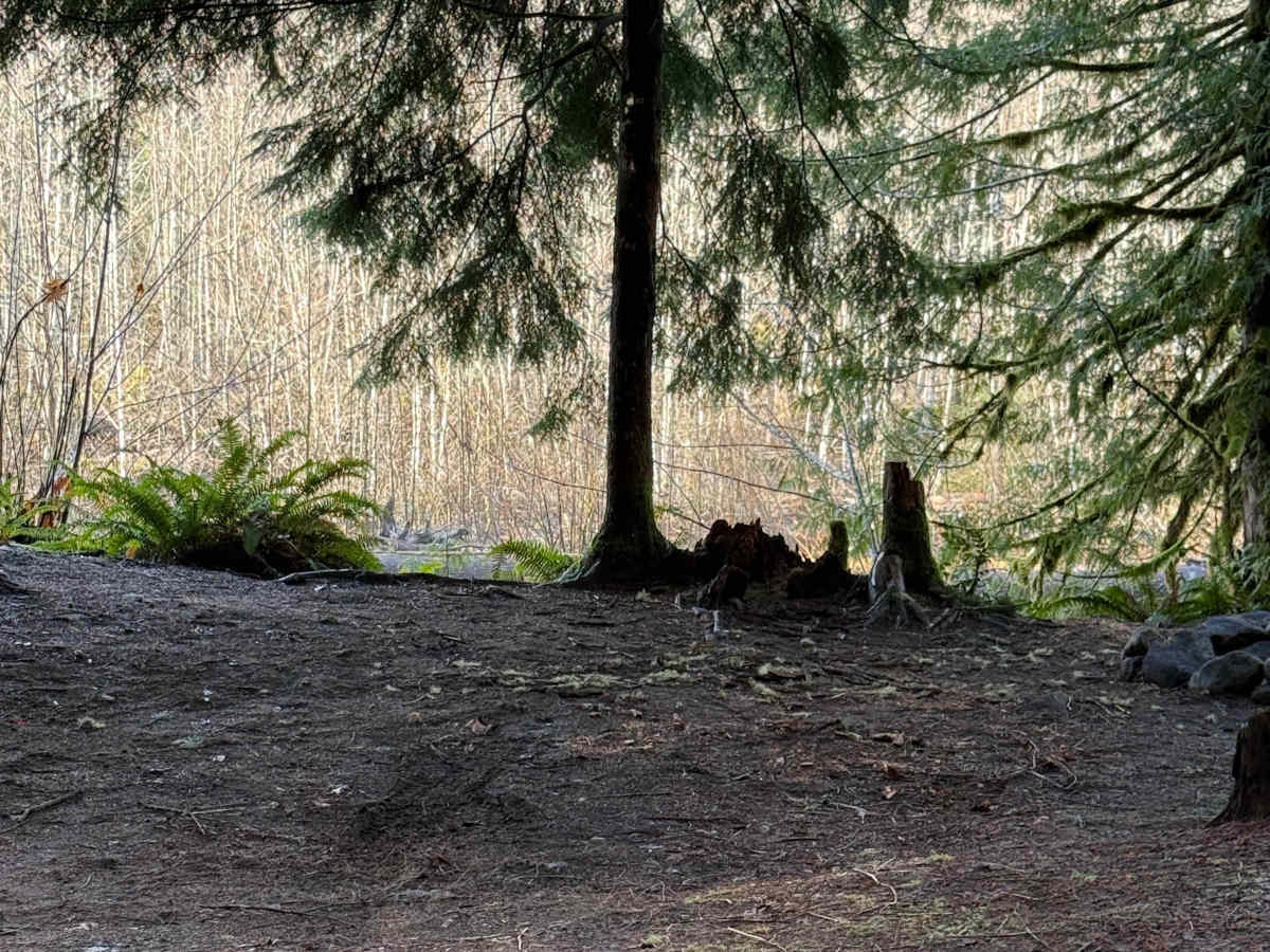 Rat Trap Pass Spur 1 photo 3