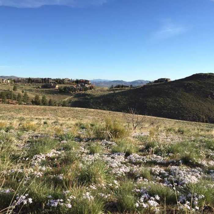 Near Hunter Lake Loop