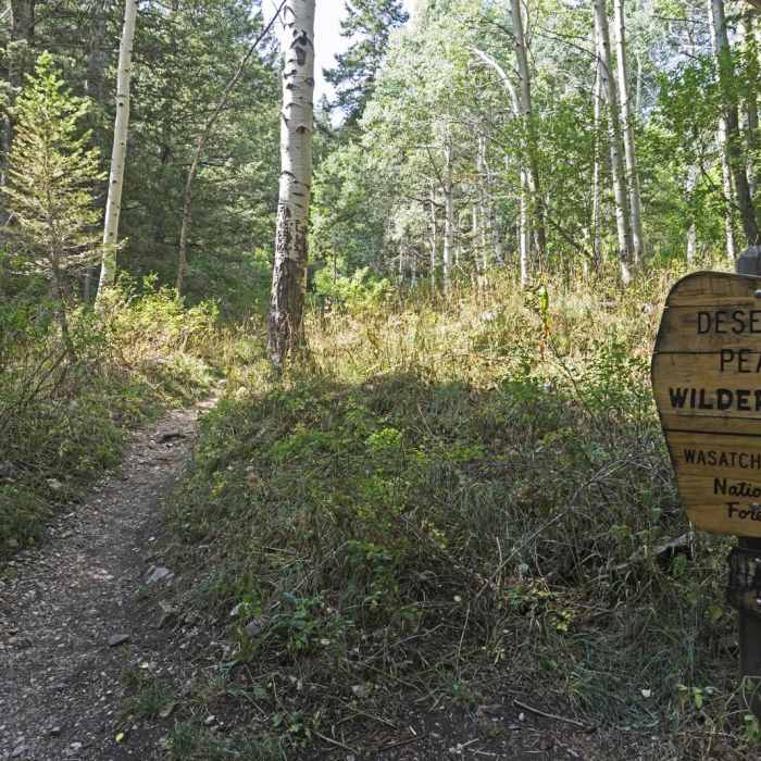 Near South Willow Lake Trail Near South Willow Lake Trail