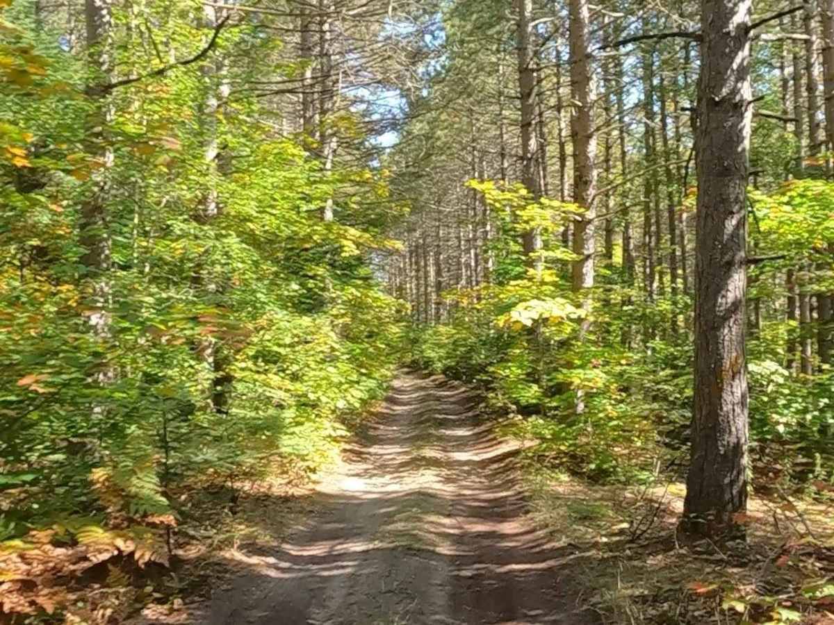 27 Mile Road - FS 3704 photo 6