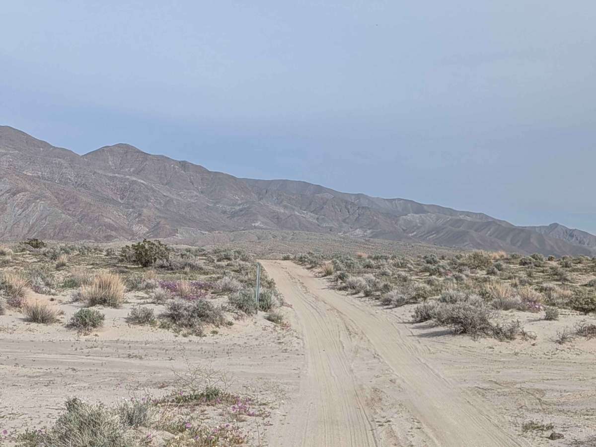 Truckhaven Trail West photo 6