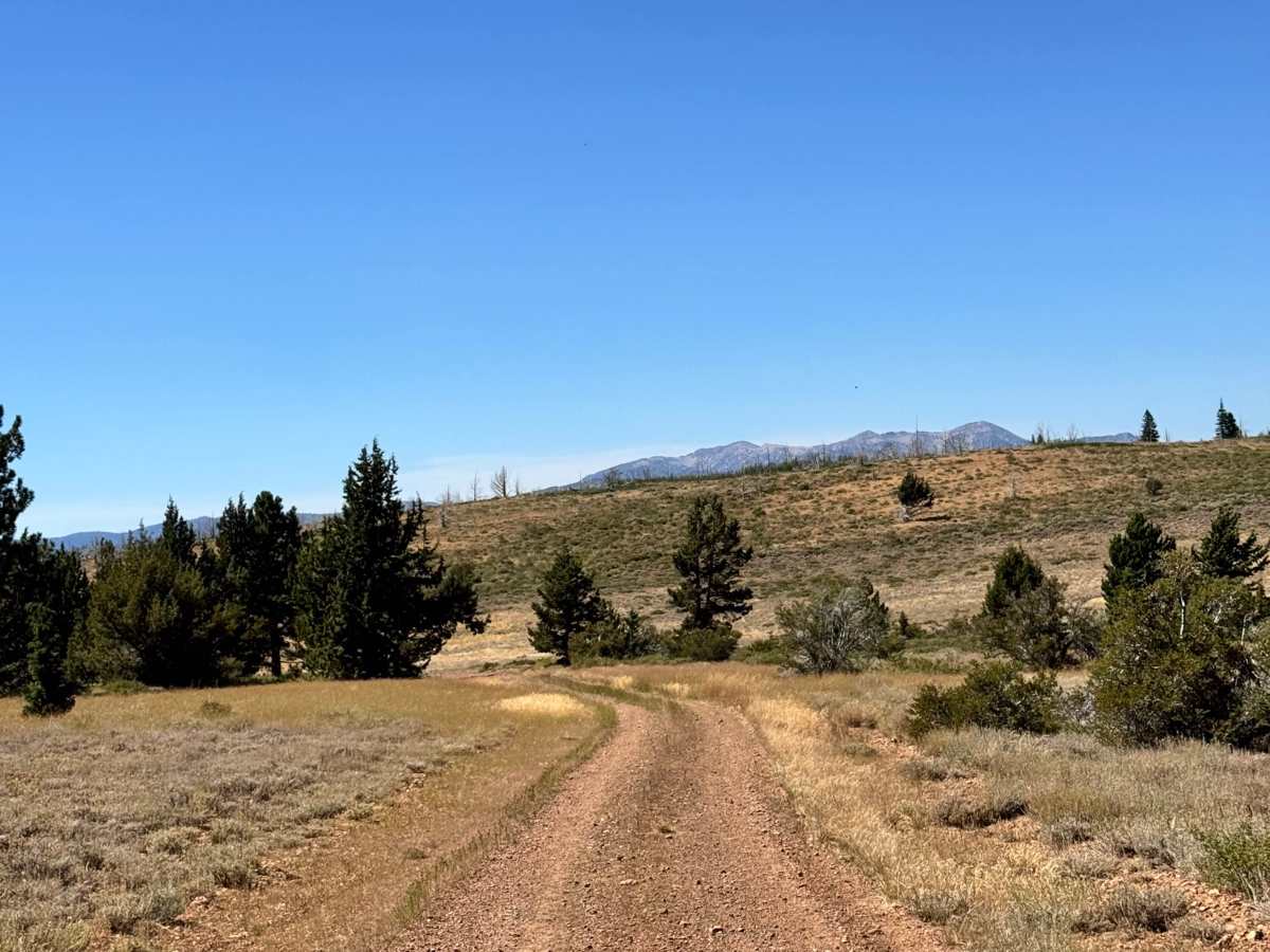 Loope Canyon Road - FS 31190 photo 4