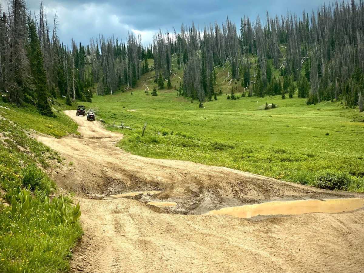Upper Section of East Fork San Juan River Rd-Fr 667 photo 3