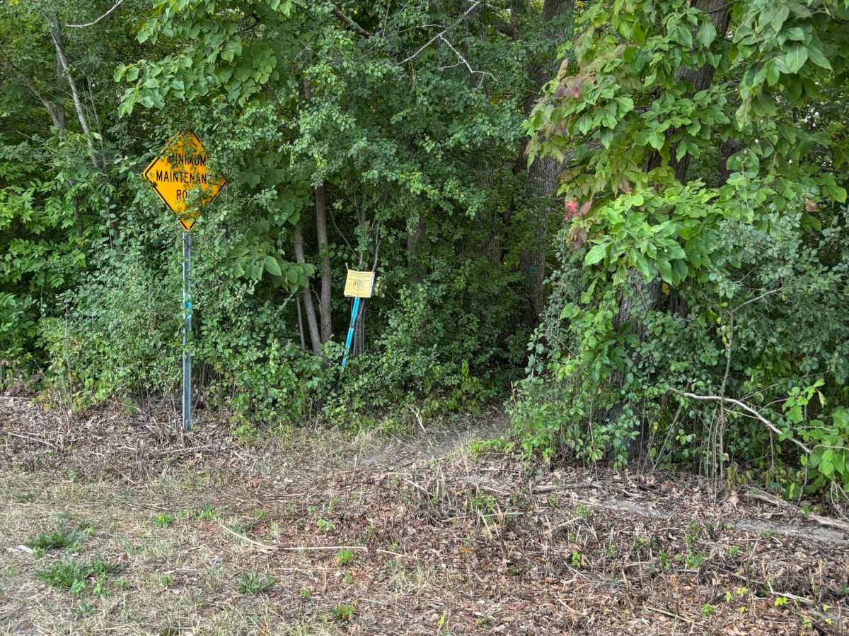 River Road photo 2