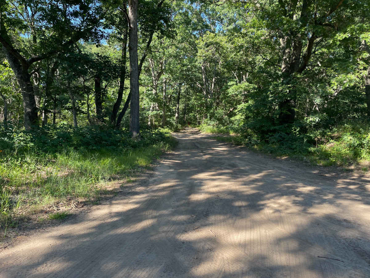 Big Dailey Bayou Trail photo 2