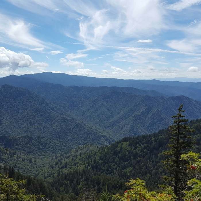 Alum Cave Trail offers incredible views of the Smoky Mountains. Near Cliff Top Viewpoint Access
