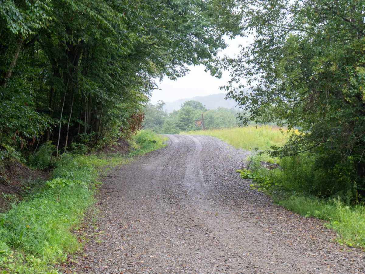 Eagle Forest Road photo 4