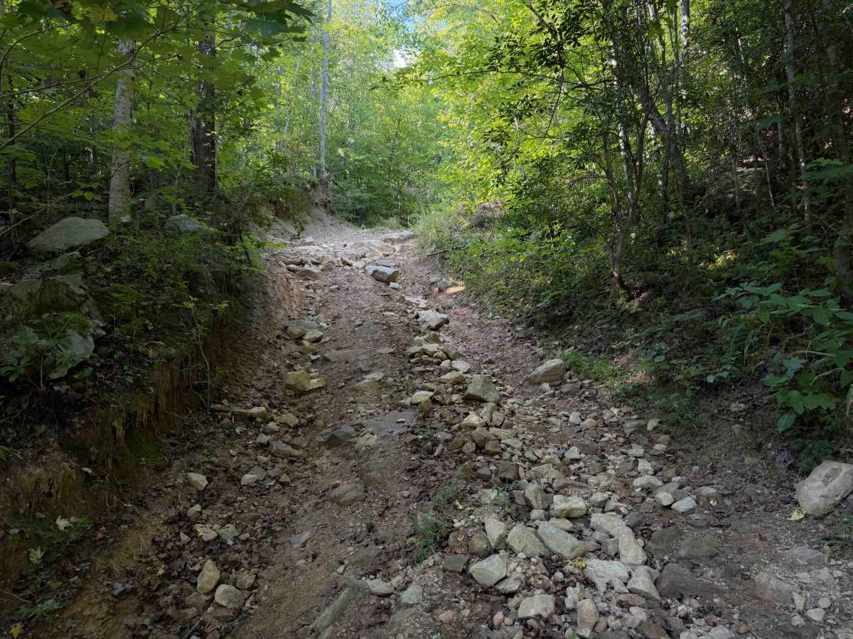 Pete Hollow Trail trail photo