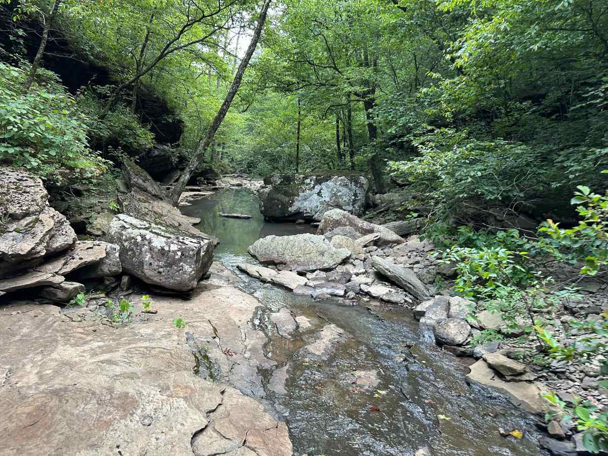 Lakeview Trail photo 4