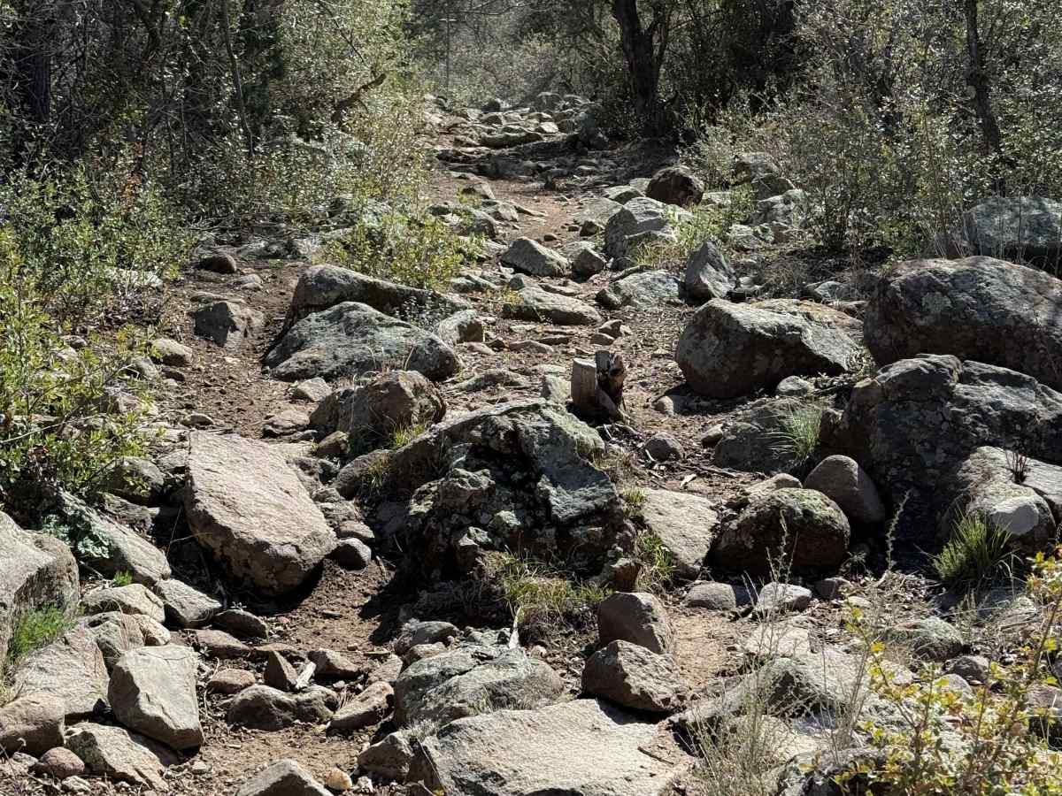 Coldwater Trail #21 (Singletrack)   photo 4