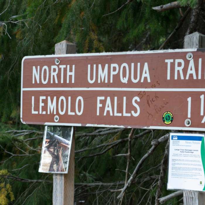 Near Lemolo Falls via the North Umpqua Trail