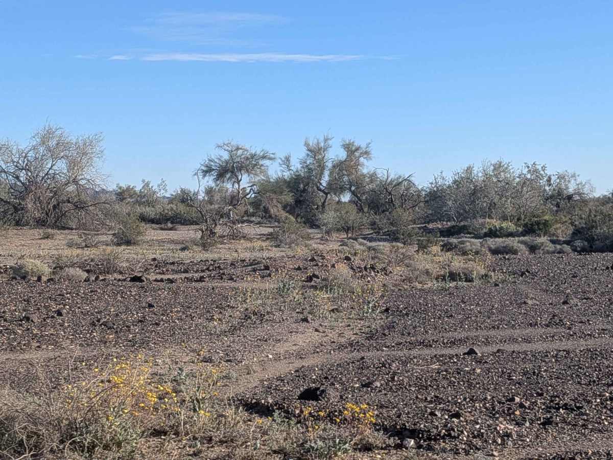 BLM 640 photo 2
