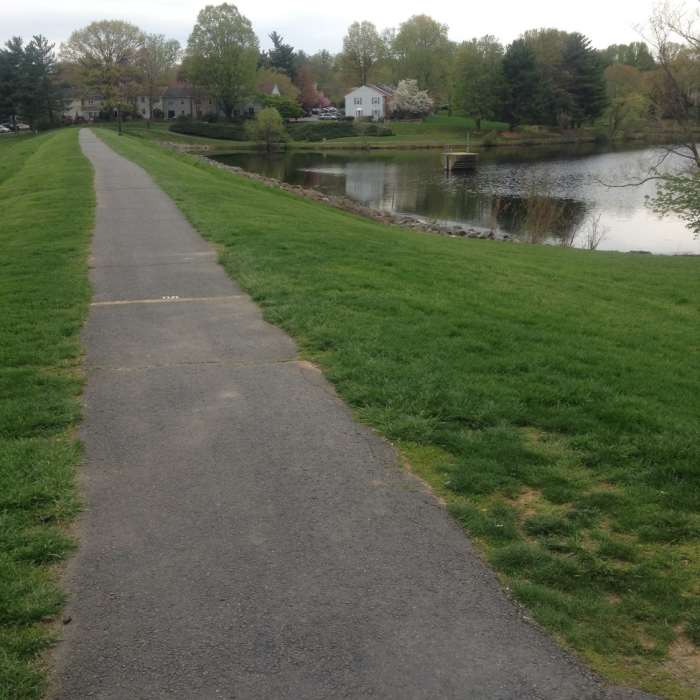 Near Lake Braddock Trail