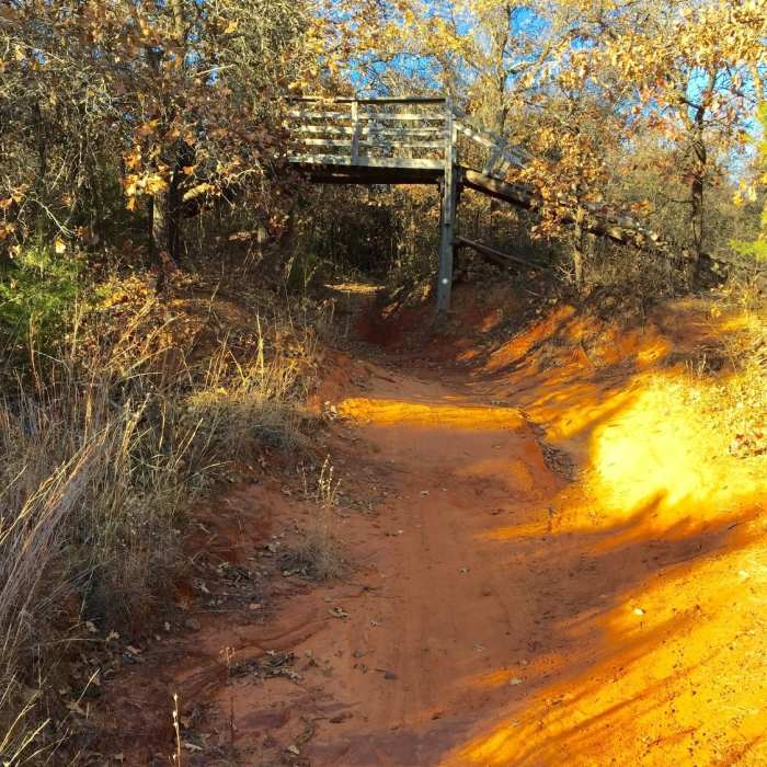 Near Orange Loop