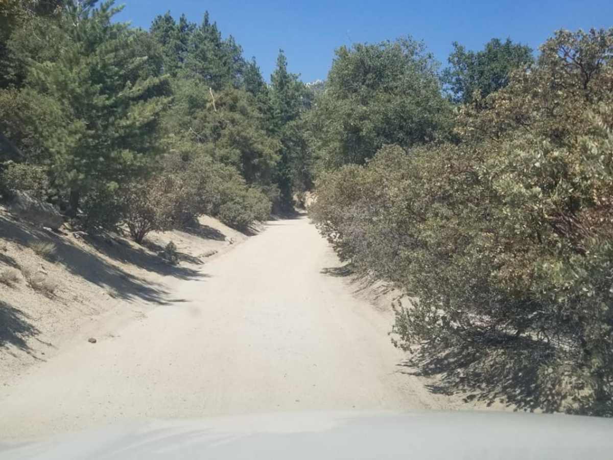 Black Mountain Road photo 4