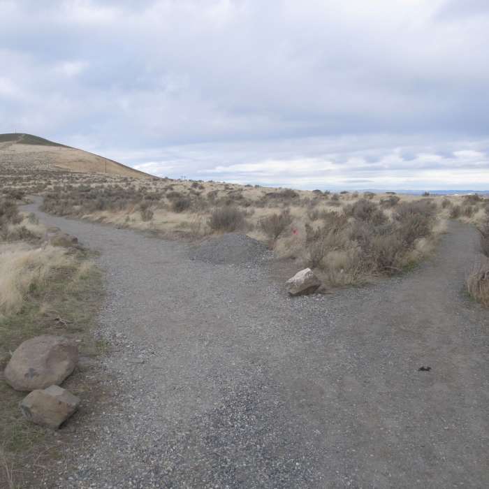 Near Candy Mountain Trail