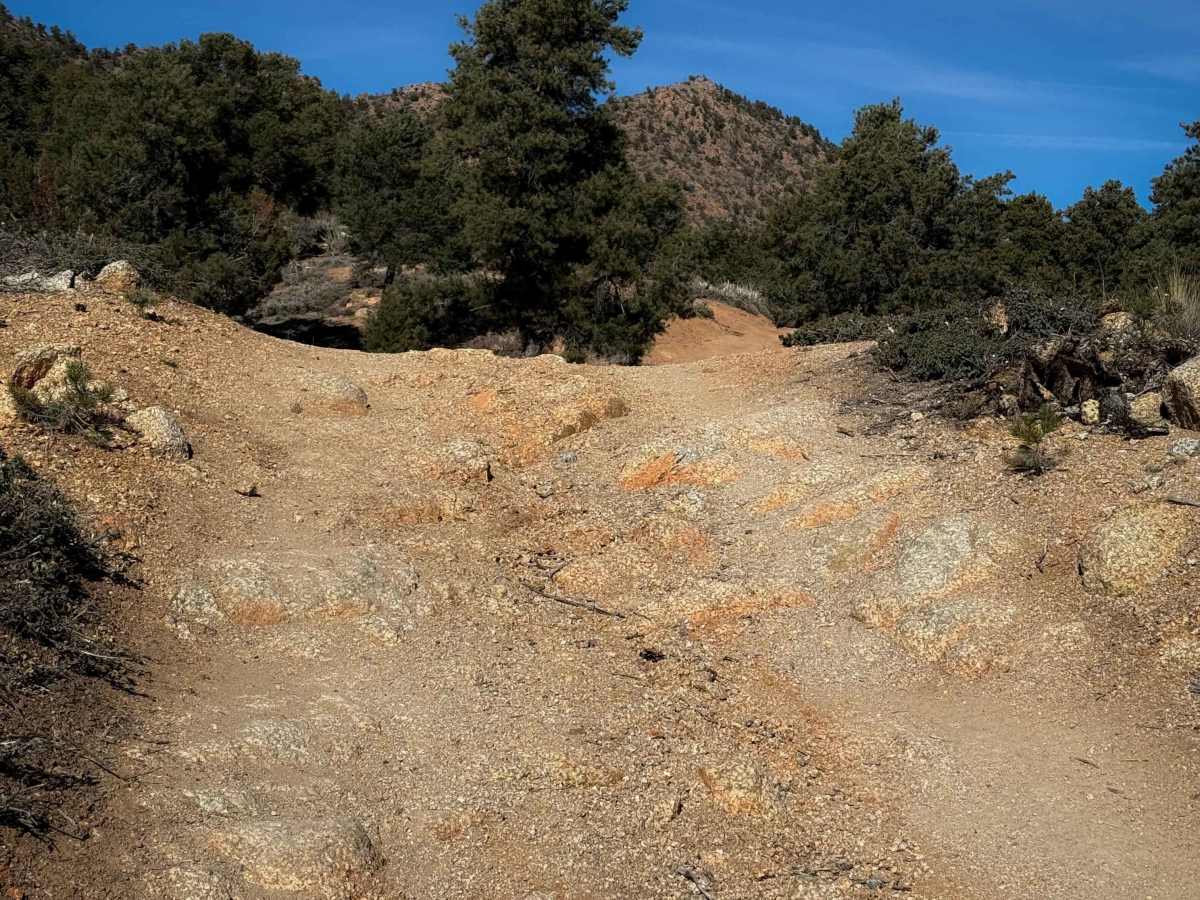BLM Route 7125 trail photo