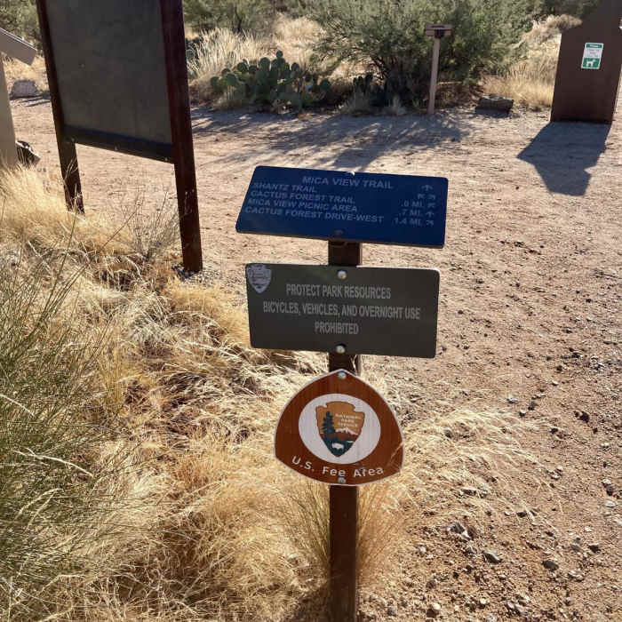 Near Shantz and Mica View Loop