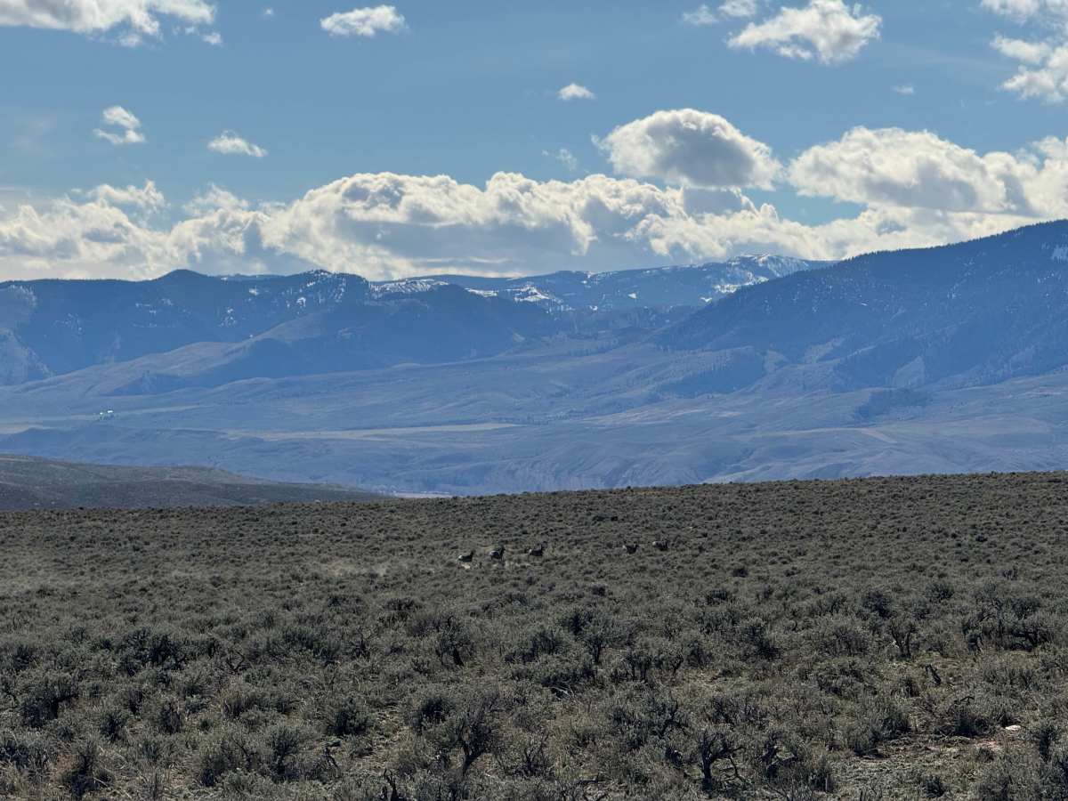 BLM Trail 132 photo 5