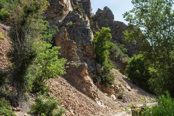 Left Fork Hobble Creek - FS 70132