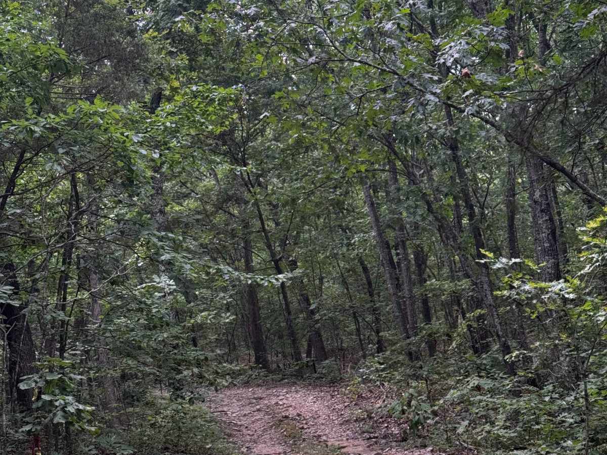 Happy Hollow  trail photo