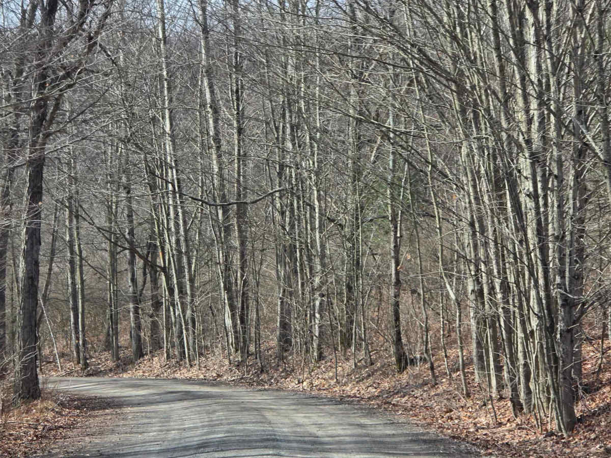Sand Road photo 4