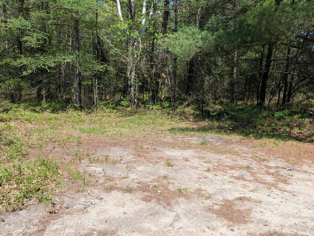 South Eddy Creek Trail photo 2