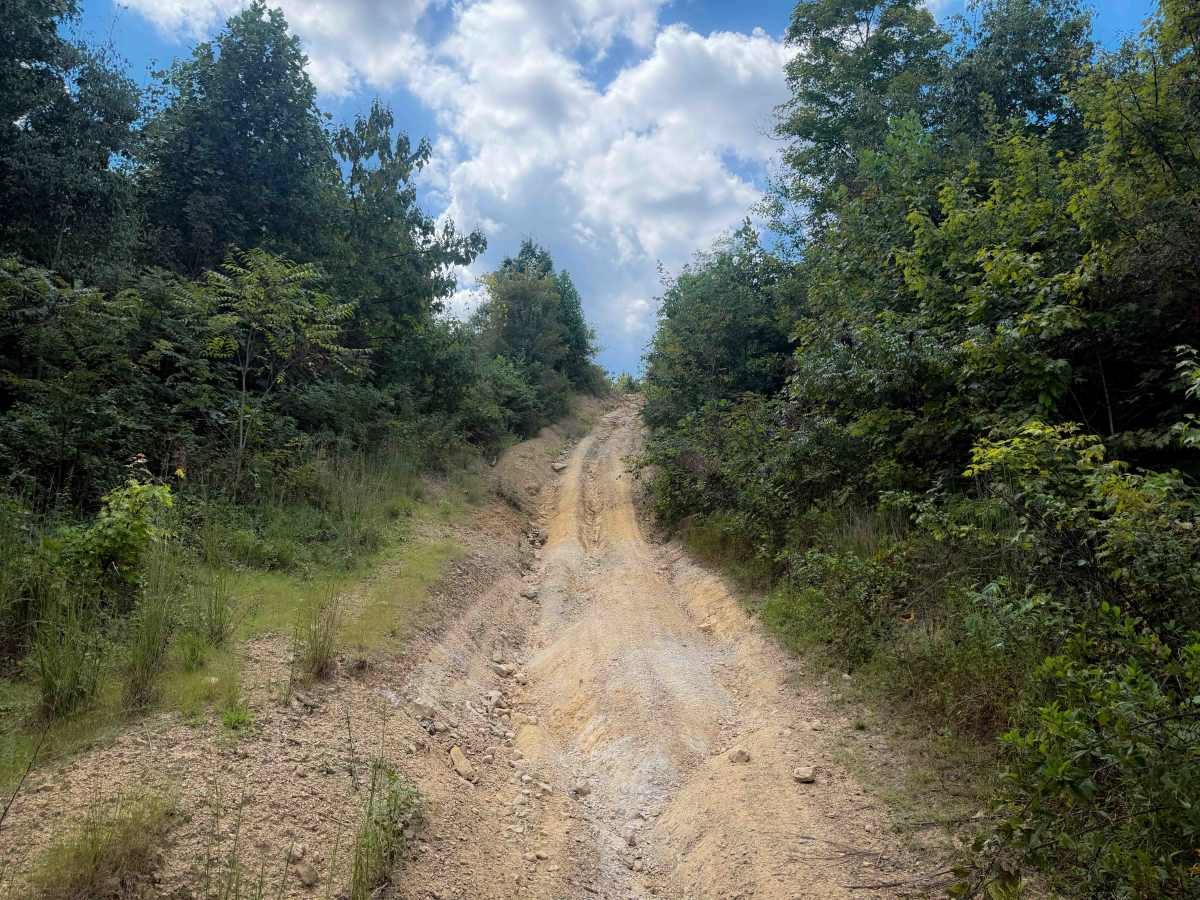 Brashy Fork Ridge Trail photo 2