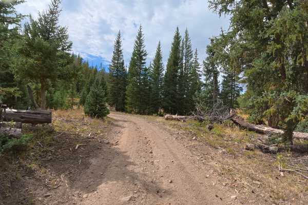 Beaver Lake Road