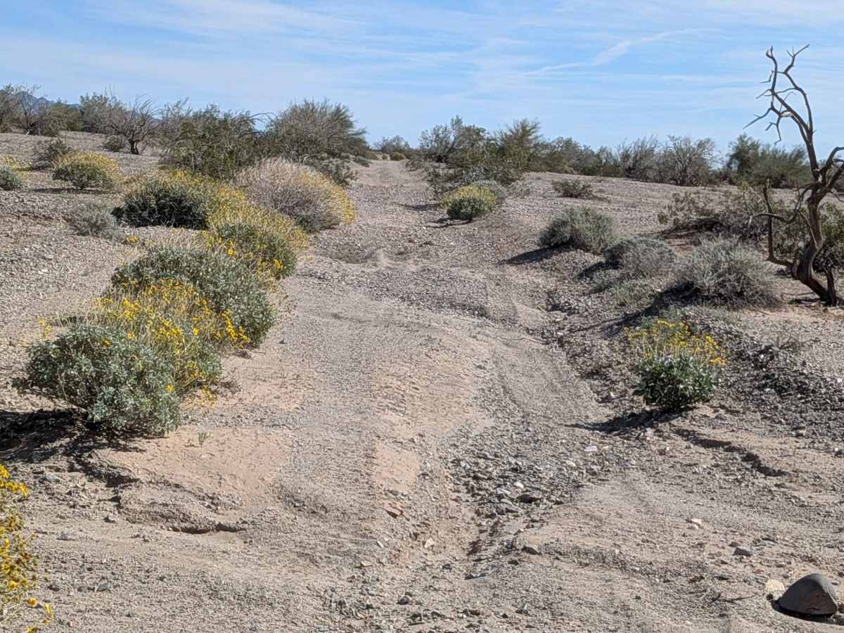 BLM 618 photo 3