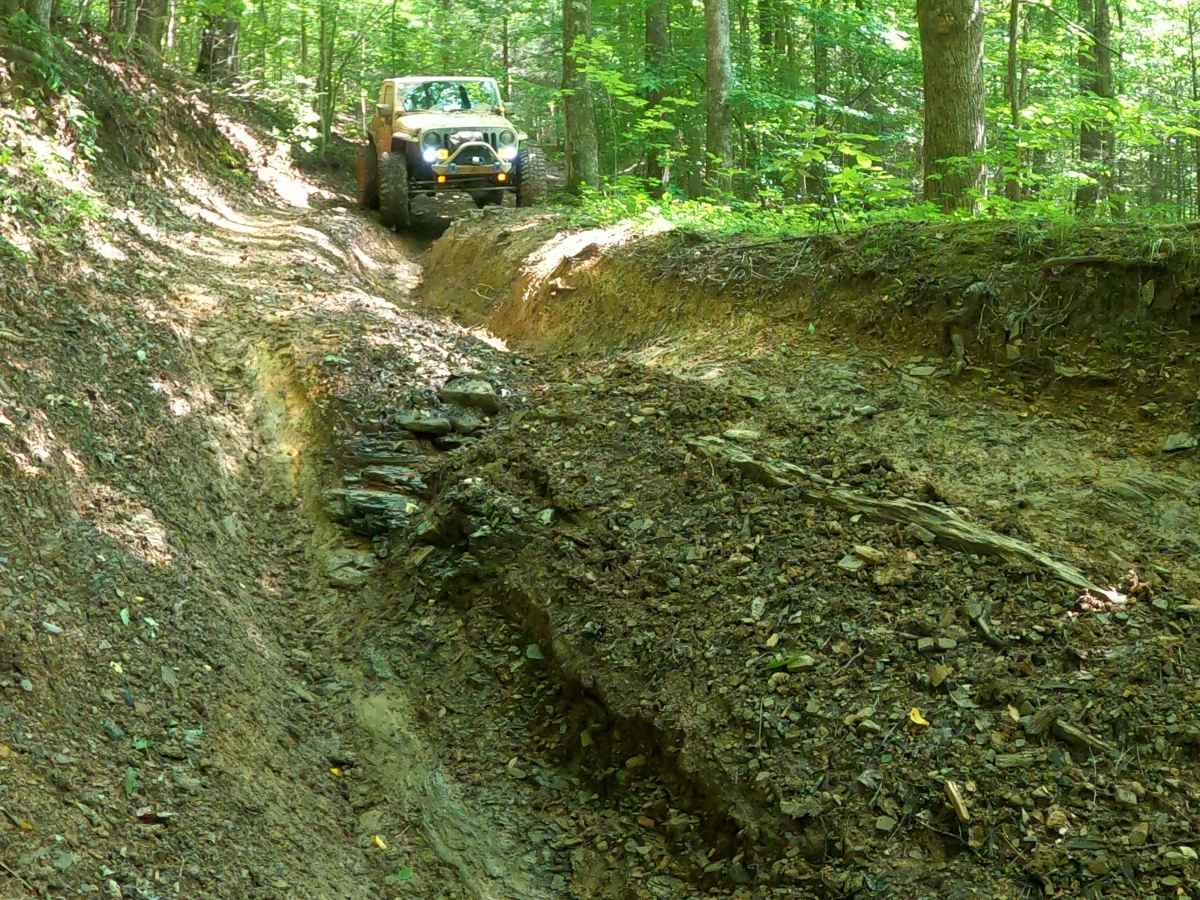 Martins Fork Trail photo 3