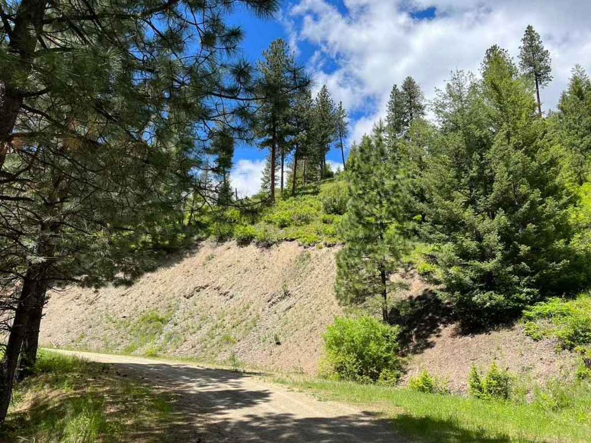 Kennedy Ridge 5507 photo 5