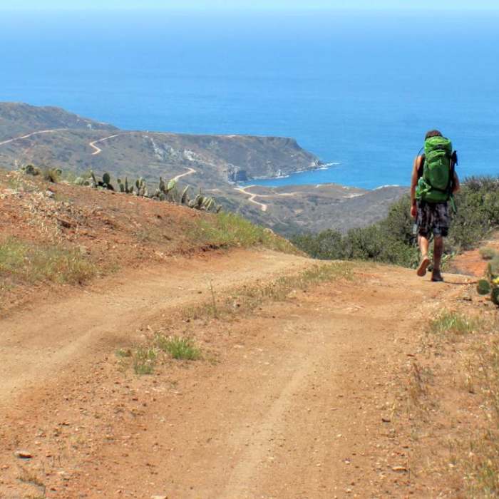 Near Trans Catalina Trail (TCT) Near Trans Catalina Trail (TCT)