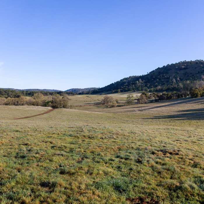 Rolling hills south of Spenceville Road Near Shingle Falls
