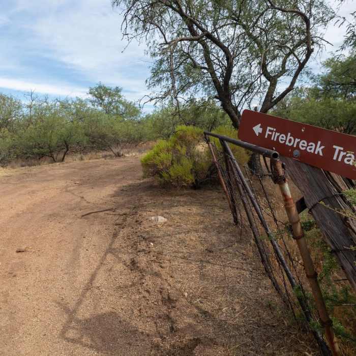 Near Firebreak Trail