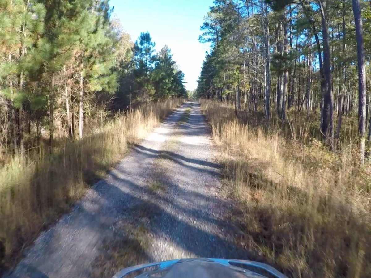 South Carolina Adventure Route Segment 2 photo 4