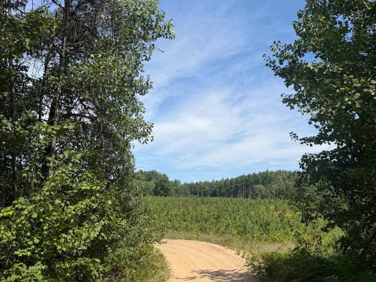 E 26-1/4 Trail photo 4