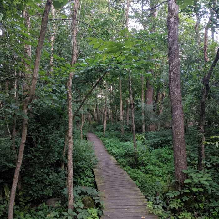 Near Ice Age Trail: Monches Segment