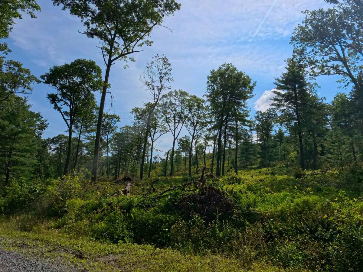 Boal Gap Road photo 6