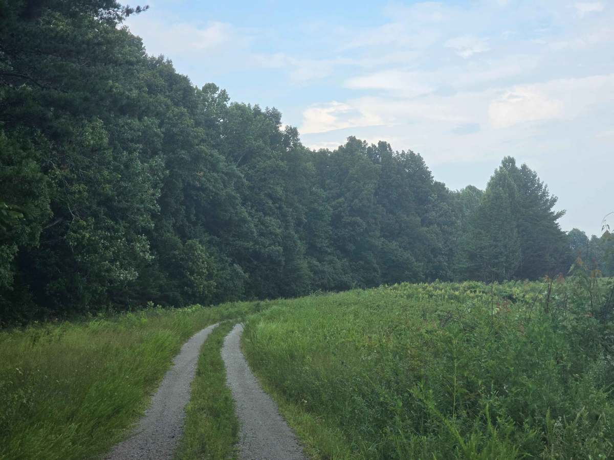 Upper Burke Field Road photo 3