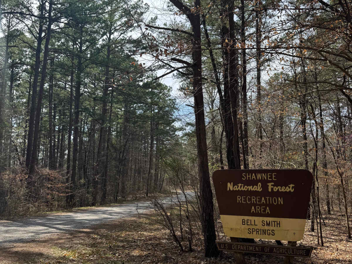 Bell Smith Spring Rope Swing Trail trail photo