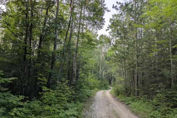 Shuster Road
