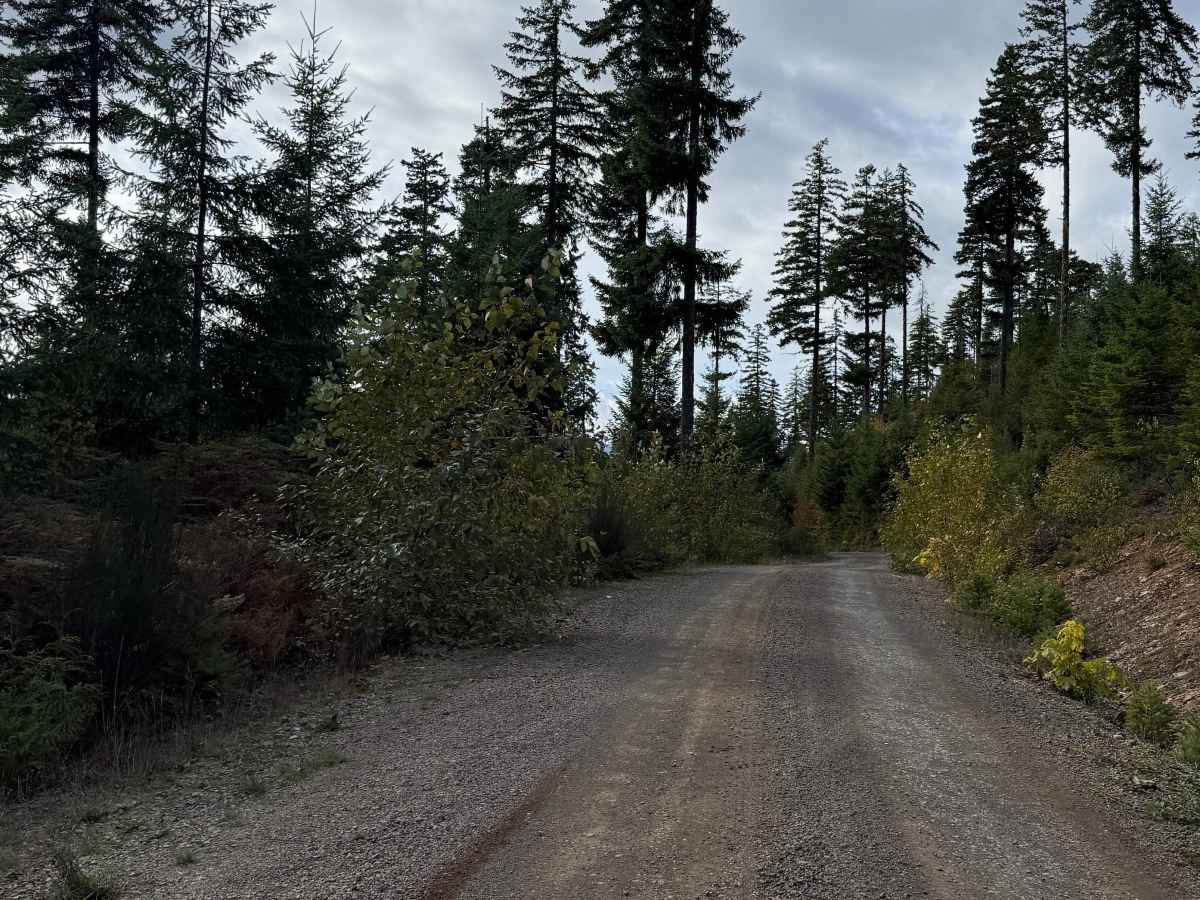 DRN Road 1240 photo 5