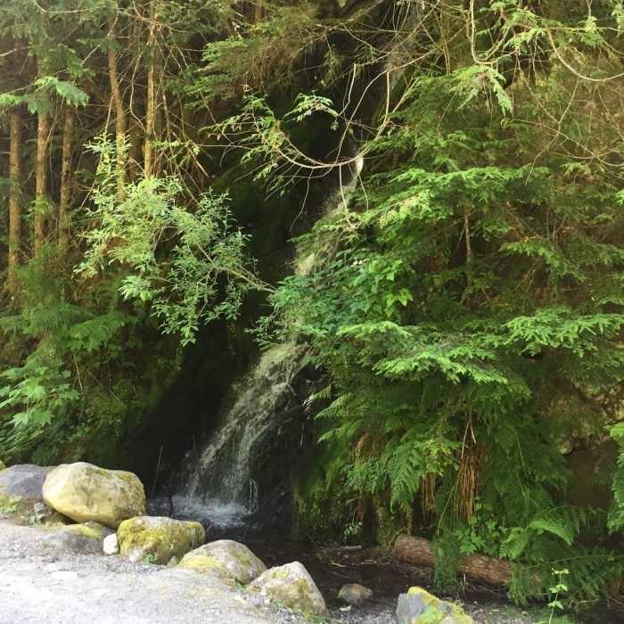 Near Palouse to Cascades State Park Trail: Hyak to Cedar Falls
