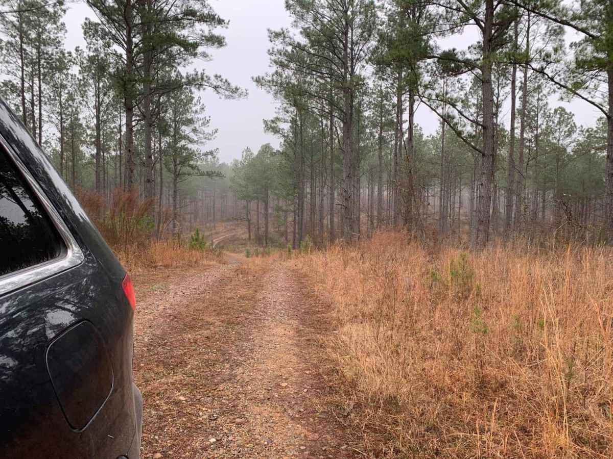 Hidden Camp Trail photo 2