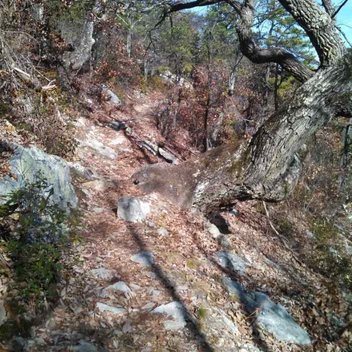 The Signal Knob section of the Massanutten Trail loop. Near Signal Knob