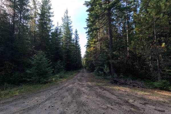 Hosmer Creek - FS 7005490