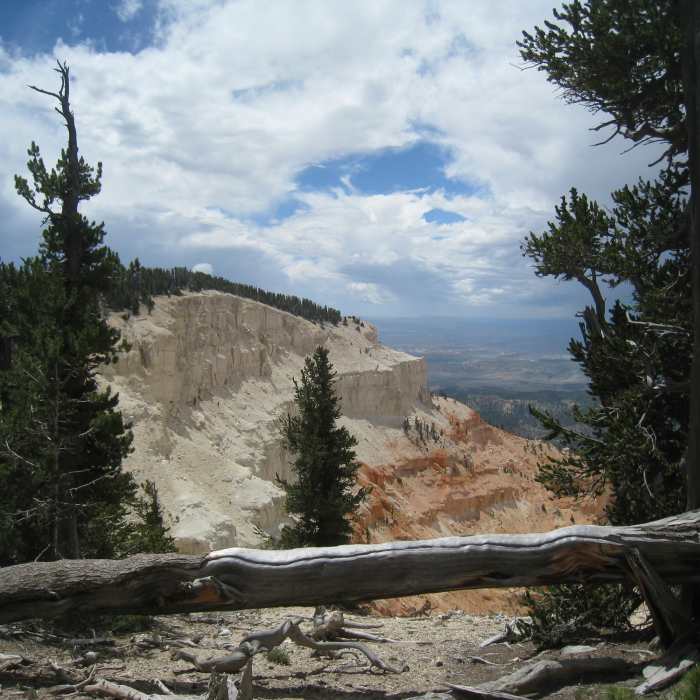 Near Powell Point Trail