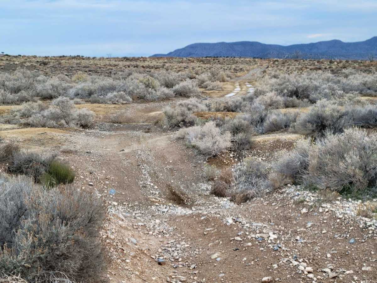 Pack Trail 2 photo 2
