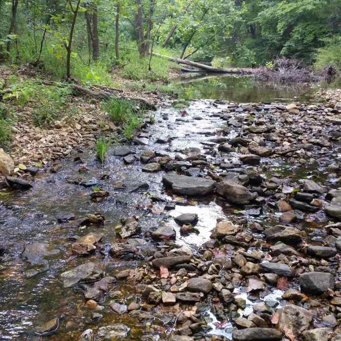 Little Paddy Creek crossing on the north-south connector of the Big Piney Trail. Near Big Piney Loop Hike Via Cutoff